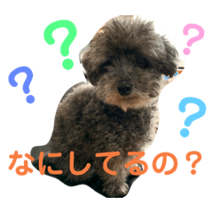 [LINEスタンプ] トイプースタンプ(ここ姉と妹ねね)