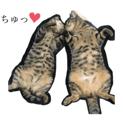 [LINEスタンプ] きーとしんば