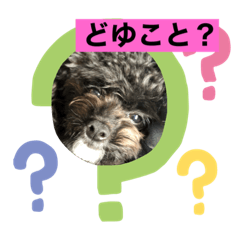 [LINEスタンプ] ラクくん2
