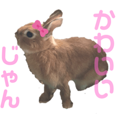 [LINEスタンプ] うさぎのモカちゃんスタンプpart4