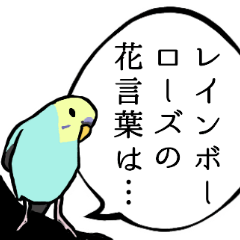 [LINEスタンプ] 煽ってくるセキセイインコ