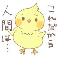 [LINEスタンプ] オカメちゃんの日常スタンプ