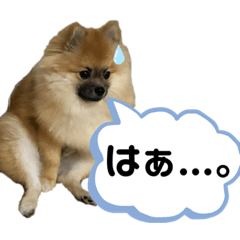 [LINEスタンプ] カワバタのゴンスケです。