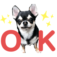 [LINEスタンプ] ココとルゥ