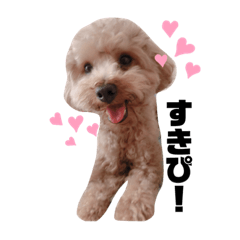 [LINEスタンプ] 野田とみみ。たまにひな。