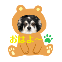 [LINEスタンプ] ぷーちゃんは不機嫌？！