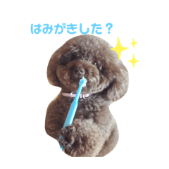 [LINEスタンプ] .りんちゃんのスタンプ.