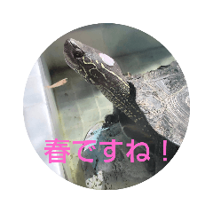 [LINEスタンプ] ふぁんしーらっト