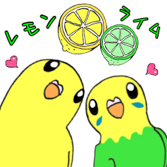 [LINEスタンプ] インコのレモン♡ライム2の画像（メイン）
