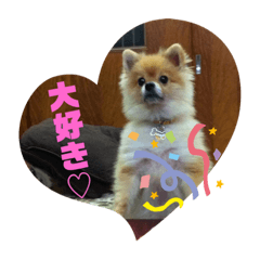 [LINEスタンプ] モカちゃんスタンプ Version.1