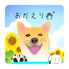 [LINEスタンプ] コロンのいる生活
