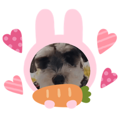 [LINEスタンプ] ルンルンな仲間たち