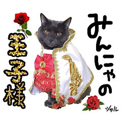[LINEスタンプ] シャルのスタンプ