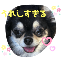[LINEスタンプ] ももまろりくまろ