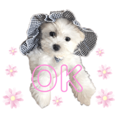 [LINEスタンプ] ペキまるめるちゃん1