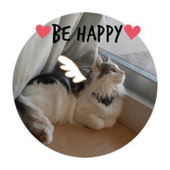 [LINEスタンプ] わたこ、ver.English