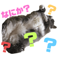 [LINEスタンプ] ぼくみかん