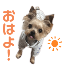 [LINEスタンプ] 蓮のスタンプ(日常で使える)