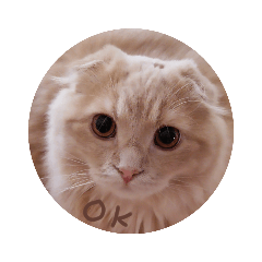 [LINEスタンプ] モフモフーたん