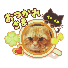 [LINEスタンプ] 続とらじろにゃん
