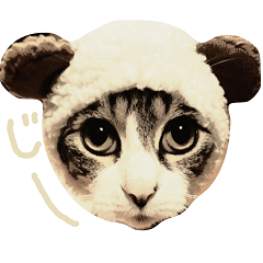 [LINEスタンプ] こたろうずくらぶ