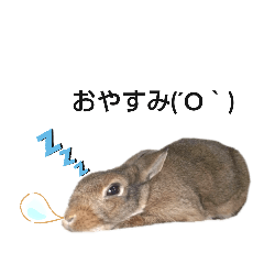 うさぎのゆるゆるスタンプ～チップ～1