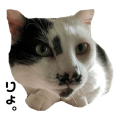 [LINEスタンプ] まくら時々ふとん2'