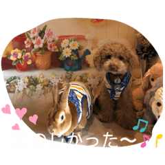 [LINEスタンプ] ず〜っと使えるスタンプ