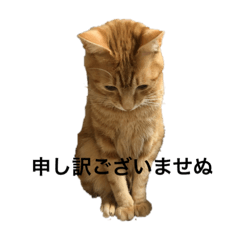 [LINEスタンプ] みかんとおかか