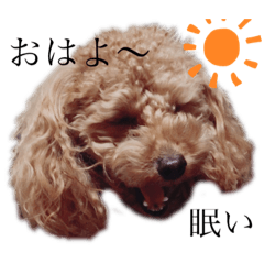 [LINEスタンプ] 毎日使える犬のスタンプ ふうちゃん