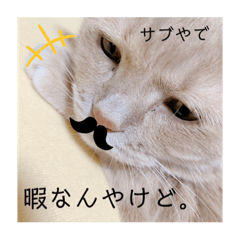 [LINEスタンプ] yuyuringo326