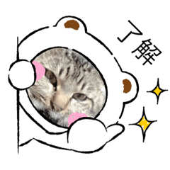 [LINEスタンプ] かりゆし たまちゃん3