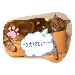 [LINEスタンプ] ねこちゃんSTAMP