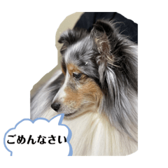 [LINEスタンプ] まりんの1日Ver.2