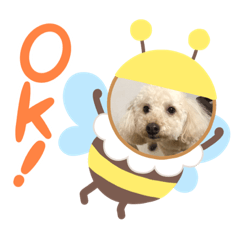 [LINEスタンプ] マハロの日常生活3