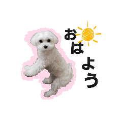 [LINEスタンプ] みるくの気持ち1