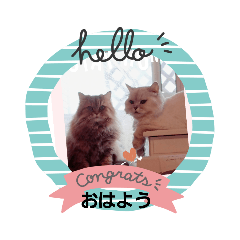 [LINEスタンプ] FUJIitt