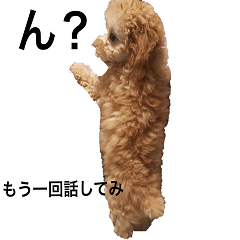 [LINEスタンプ] トイプー ユメタロウ