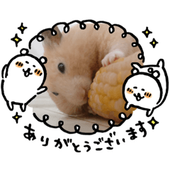 [LINEスタンプ] きなこっこ
