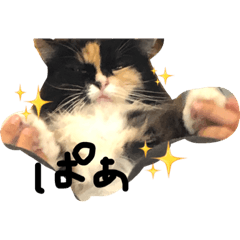 [LINEスタンプ] スーパーキュート