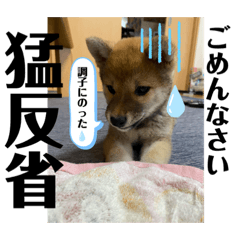 [LINEスタンプ] むぎ.2