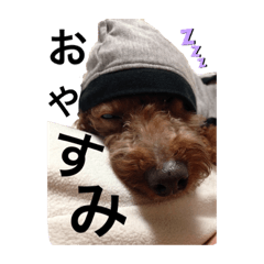 [LINEスタンプ] ももちゃんスタンプ: