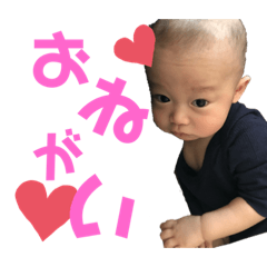 [LINEスタンプ] しゃけの子、いくらちゃん