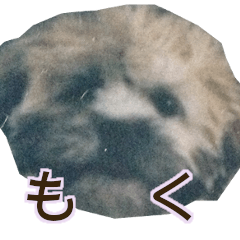 [LINEスタンプ] 杢ちゃん1