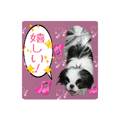 [LINEスタンプ] 日本わんこのゆる～い愛のコトダマ日常編③