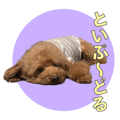[LINEスタンプ] といぷーどる1