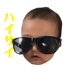 [LINEスタンプ] 方言ぴよ