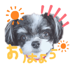 [LINEスタンプ] オレオスタンプ♡