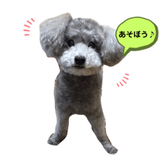 [LINEスタンプ] 可愛いおじいさん犬アース