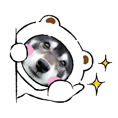[LINEスタンプ] 黒柴じゃんけんの日常
